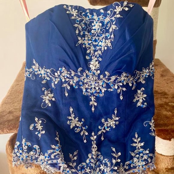 Quinceanera Dress - Picture 6 of 8